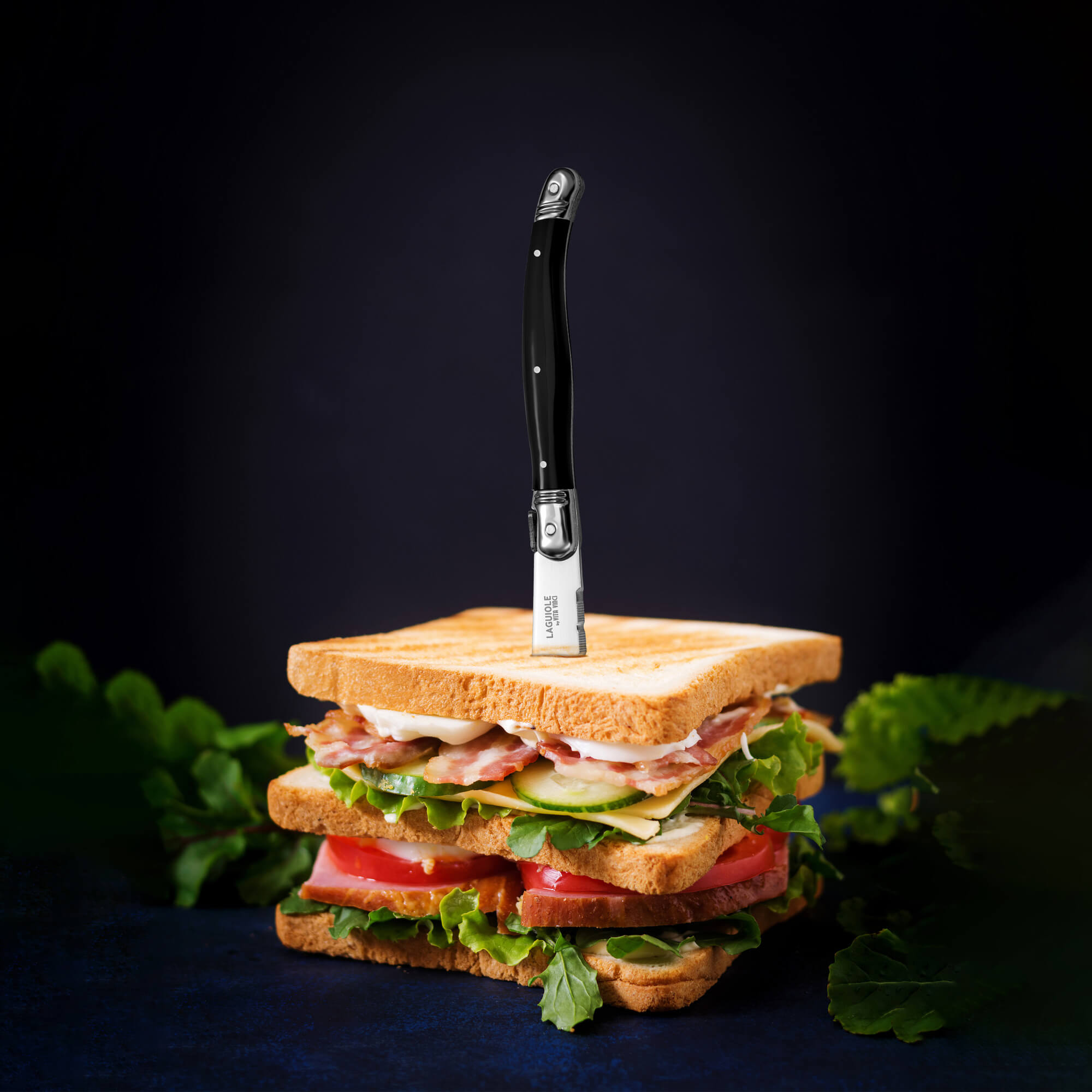 Vita Vinci steak knives 6pcs Black (VV-4100-BK) 14