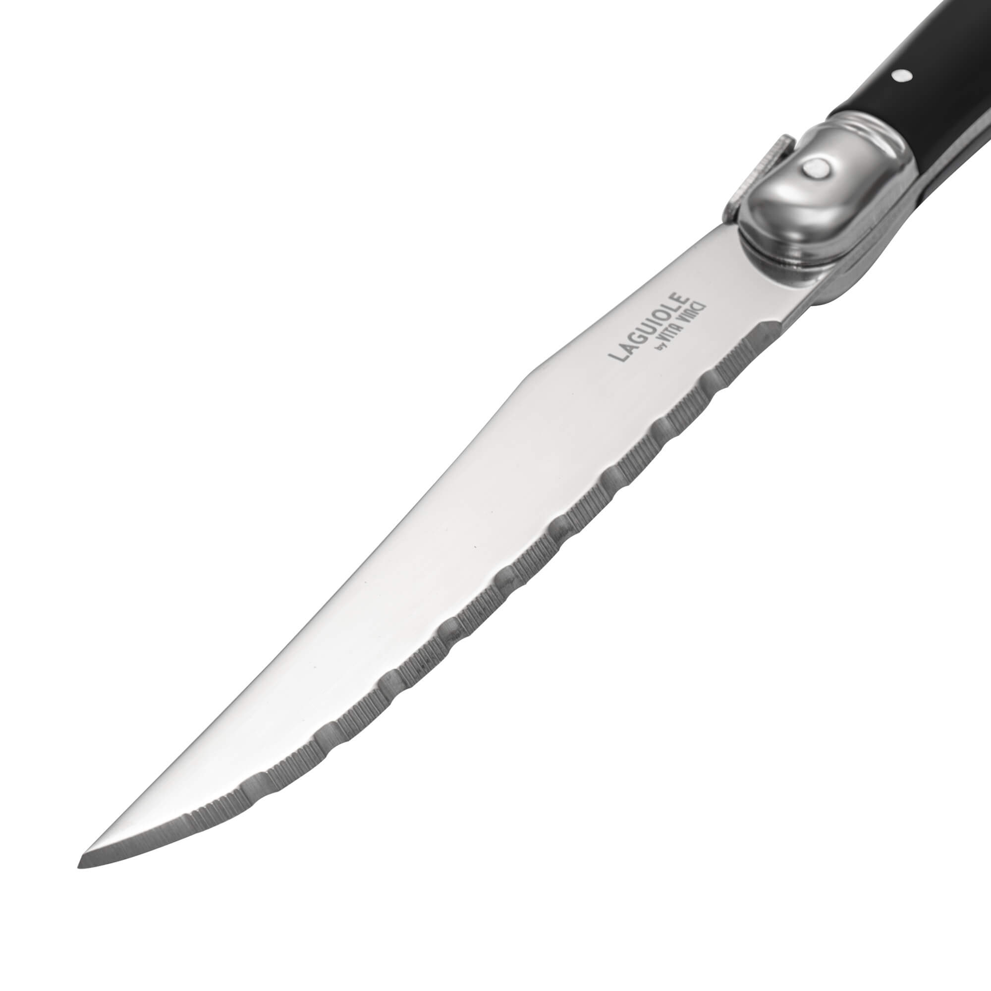 Vita Vinci steak knives 6pcs Black (VV-4100-BK) 6